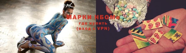 a pvp Бородино