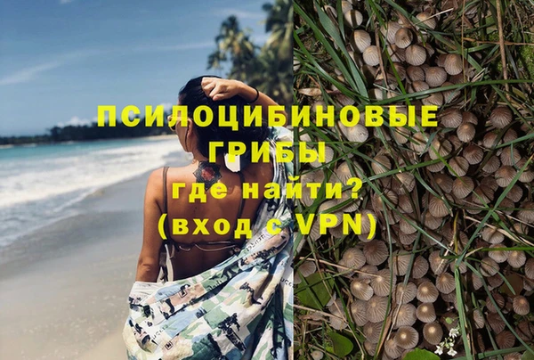 a pvp Бородино