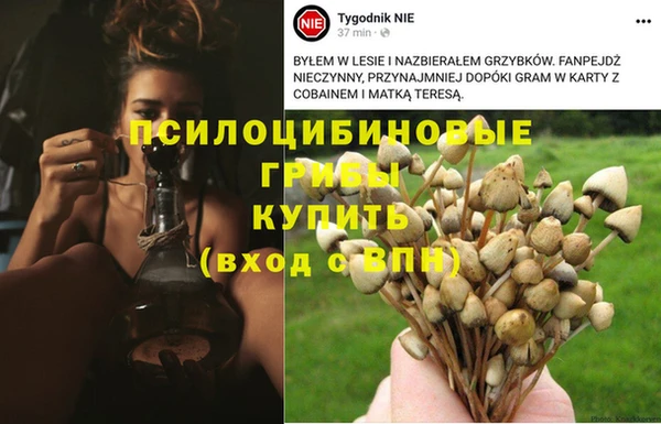 метадон Бронницы