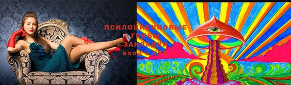a pvp Бородино