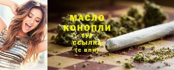 амф Верхний Тагил