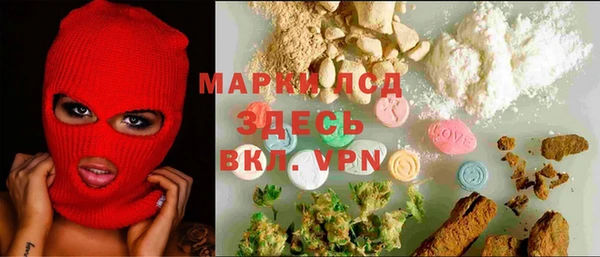 a pvp Бородино