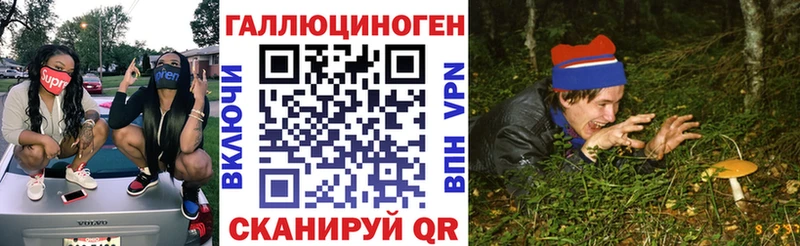 ссылка на мегу как войти  что такое   Вельск  Галлюциногенные грибы прущие грибы 